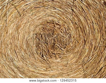 Deatails of a Round bale of hay after harvesting