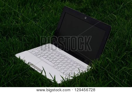Turned off notebook on green spring field