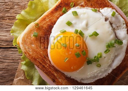 Croque Madame Sandwich With A Fried Egg Close-up. Horizontal Top View