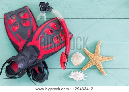 Pair Of Red And Black Flippers With Seashells