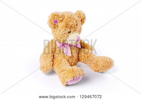 Toy teddy bear isolated on white background