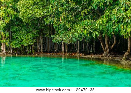 Emerald Pool aka Sa Morakot Khao Pra Bang Khram Wildlife Sanctuary Krabi Thailand. National Park Krabi Thailand tourist destination. Green color tropical lake Southeast Asia
