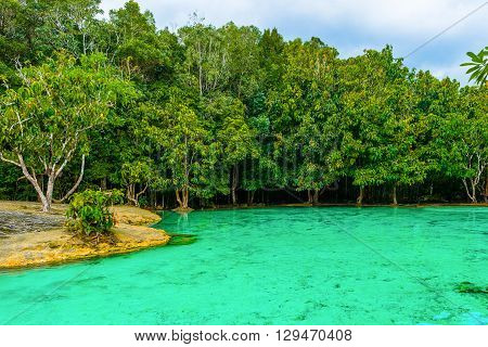 Emerald Pool aka Sa Morakot Khao Pra Bang Khram Wildlife Sanctuary Krabi Thailand. National Park Krabi Thailand tourist destination. Green color tropical lake Southeast Asia