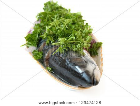 salt mackerel with herbs on a white background