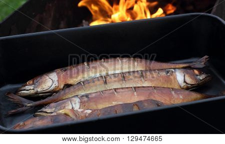 Smoked fish in the pan with fire in the background photo
