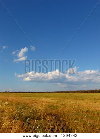 Visão de campo 4