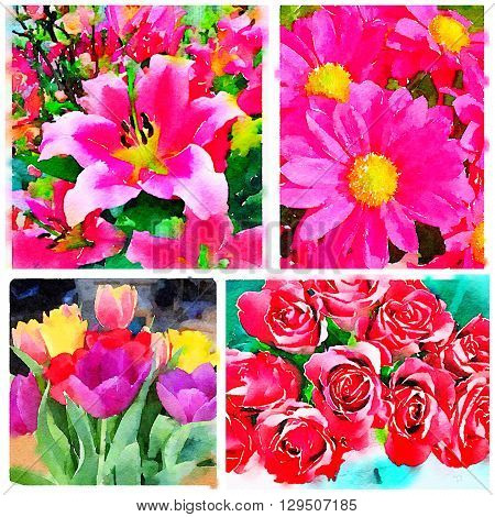 Collage of four digital watercolor paintings of flowers including tulips roses daisies and lilies.
