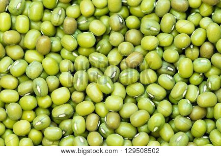 Green beans of soja bio. Backround, macro.