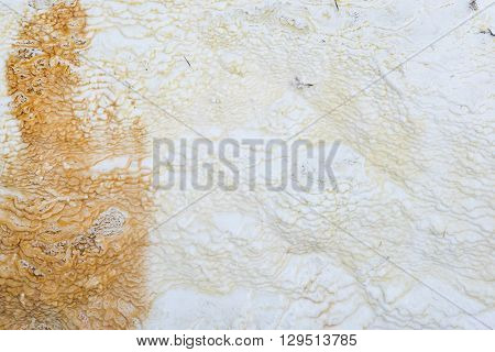 Yellowstone National Park - Microbial mat pools close up
