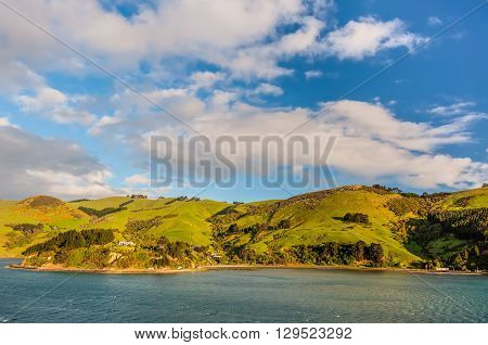 New Zealand scenic coastline landscape - A happy sunny day at Otago Region Southern island New Zealand