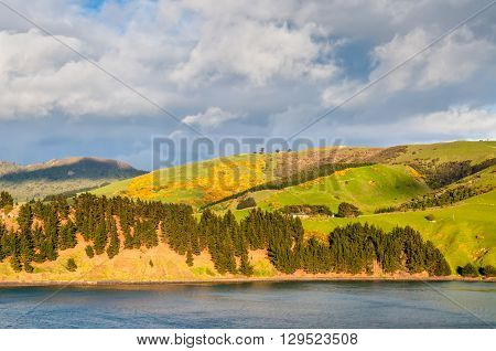 New Zealand scenic coastline landscape - A happy sunny day at Otago Region Southern island New Zealand