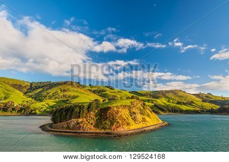 New Zealand coastal landscape - A happy sunny day at Otago Region Southern island New Zealand