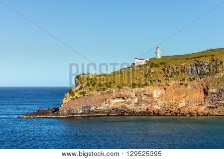 Lighthouse at Taiaroa Head Otago Peninsula Dunedin New Zealand.