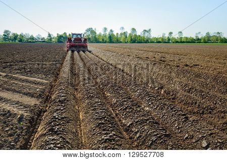 Farmer seed potatoes in a Dutch field of clay soil with the aid of a tractor coupled to the 4-row combi-planting machine which at the same time also forms the ridges.