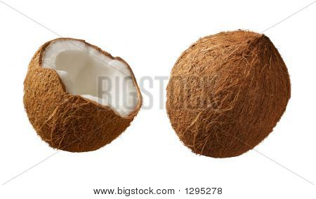 Noci di cocco