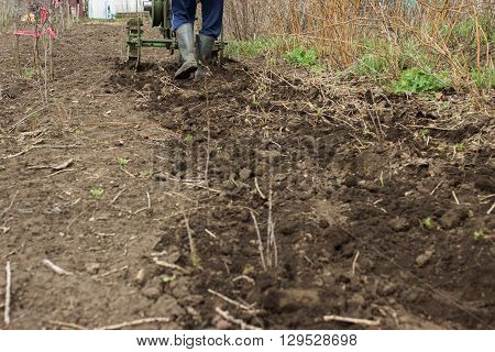 Man Working In The Garden With Garden