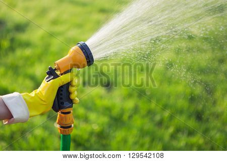 Hand with garden hose watering plants gardening concept
