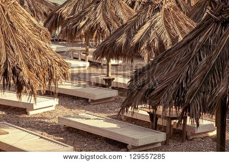Palm trees and trestle-beds on a beach