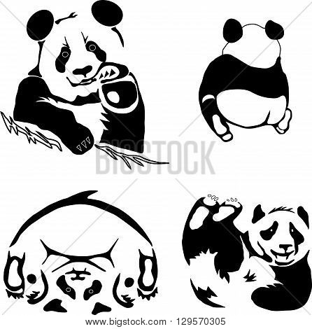 panda set of black and white isolated on background