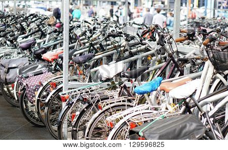 Many Bicycles parked at Ostende railway station