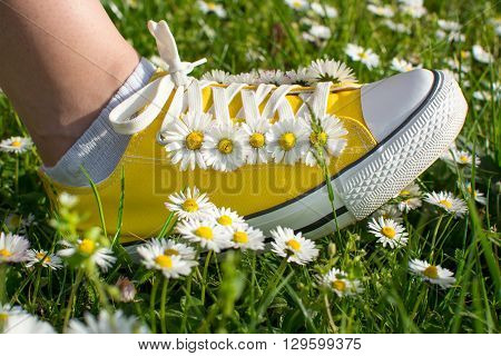 Yellow sneakers decorated with daisies in a dasiy field