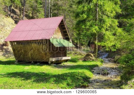 Feed for wild animals in forest, Slovakia