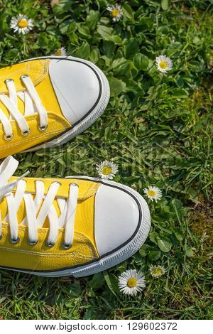 Yellow Sneakers In A Dasiy Field