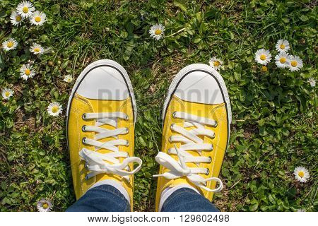Yellow Sneakers In A Dasiy Field