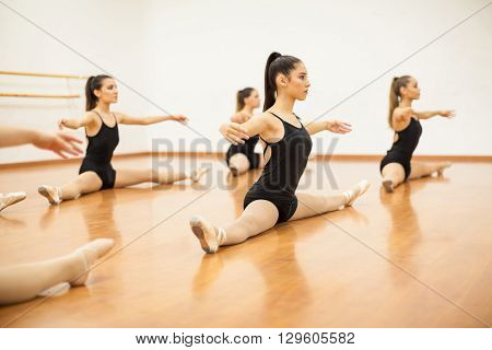 Group of women in leotards doing some stretching and warming up during dance class