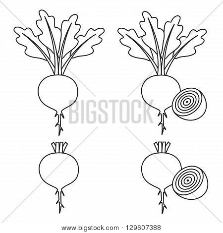 Line set of beet - beet with leaves and half of beet, beet without leaves and with half of beet. Vector illustration.