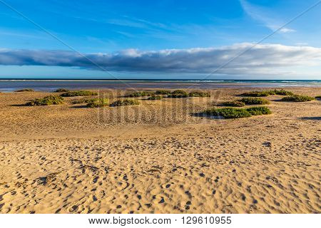 Sotavento Beach During Clear Summer Day - Fuerteventura Canary Islands Spain