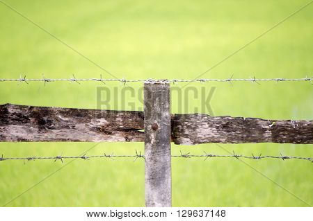 a barb wire fence in the Thailand countryside