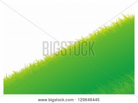 Vector illustration of Summer background with grass