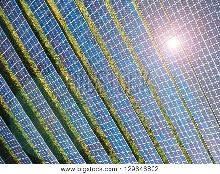 Power plant using renewable solar energy with sun meadow