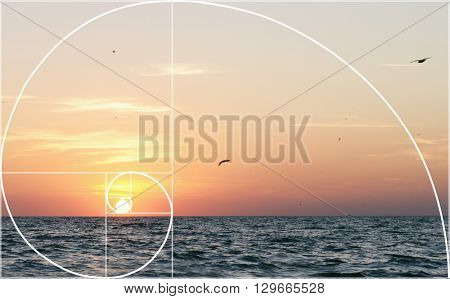 Illustration of spiral arrangement in nature. Fibonacci pattern