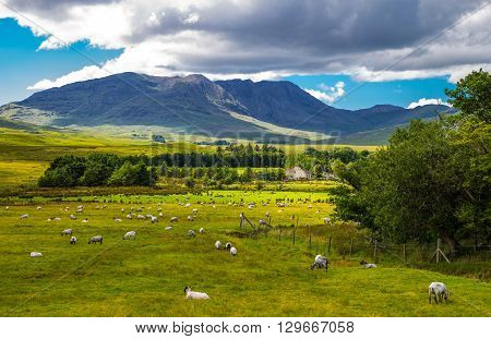 Ireland Calway county landscape of the Connemara area