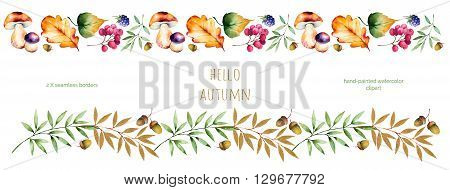 2 Colorful autumn seamless border with autumn leaves, flowers, branch, berries, acorn, mushrooms, blackberries, golden leaves