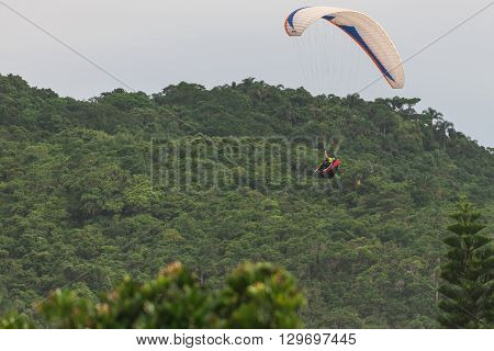 Paragliding At The Brava Beach In Florianopolis