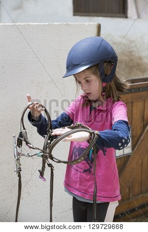 pretty young teenage girl preparing taking care horse poney