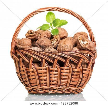 Basket filled with walnuts isolated on white background