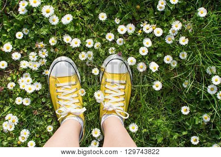 Yellow Sneakers Decorated With Daisies
