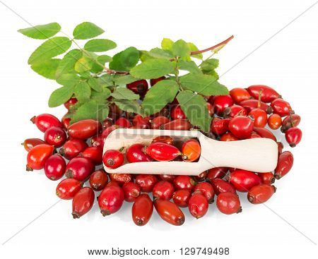 Gorka fresh wild rose and wooden shovel isolated on white background.