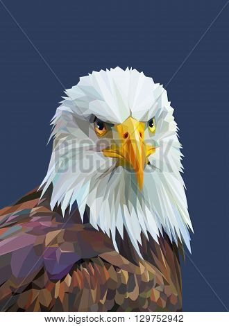 Low poly poster with eagle. Colorful wild bird. Triangle vector illustration eps 10