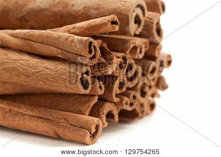 Raw Organic Cinnamon sticks (Cinnamomum verum) isolated on white background. Front side view.