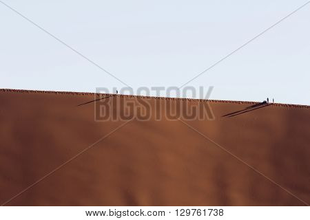 People walking on the crest of a red dune in the Namib Desert in Sossusvlei in the Namib-Naukluft National Park of Namibia