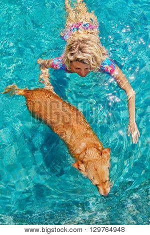 Funny photo of sunbathing woman playing with dog and training dog puppy in swimming pool with blue water. Popular dog breeds outdoor activity and fun games with family pet on summer beach holiday.