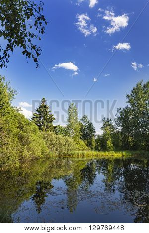 Beautiful Swamp Lake In The High Fens, Belgium