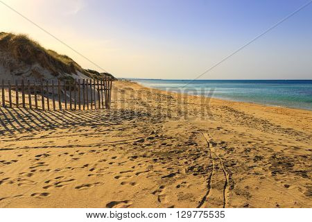 The Regional Natural Park Dune Costiere (Torre Canne): fence between sea dunes. BRINDISI (Apulia)-ITALY-