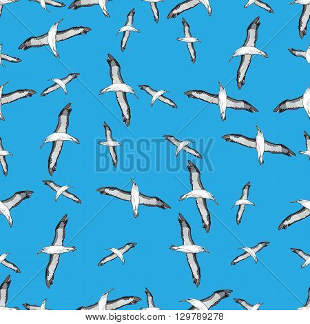 vector illustration of seamless pattern of different flying birds