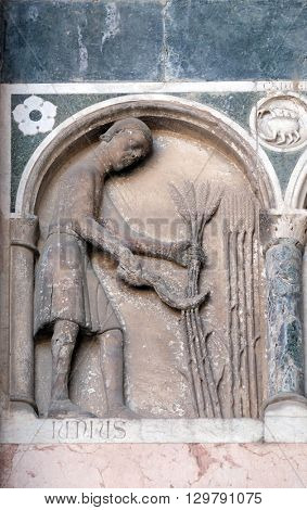 LUCCA, ITALY - JUNE 06, 2015: June, detail of the bas-relief representing the Labor of the months of the year, portal of the Cathedral of St Martin in Lucca, Italy, on June 06, 2015